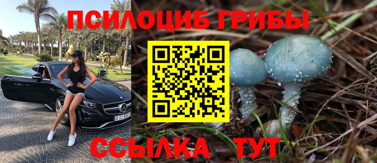 сколько стоит  Вход с VPN  Галлюциногенные грибы GOLDEN TEACHER  Шелехов  Галлюциногенные грибы Psilocybine cubensis 